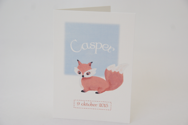 geboortekaartje casper lichtblauw